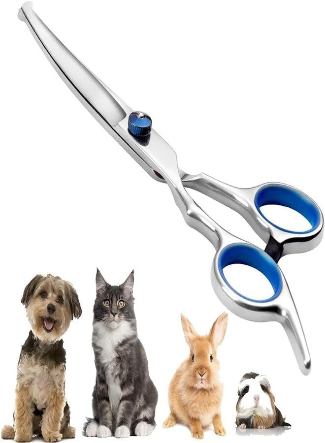 DreamAug “6.5”Curved Dog Grooming Scissors with Safety Round Tips – Professional Pet Hair Cutting Shears for Dogs & Cats, Stainless Steel Pet Grooming Tool for Home & Salon Use - Image 1